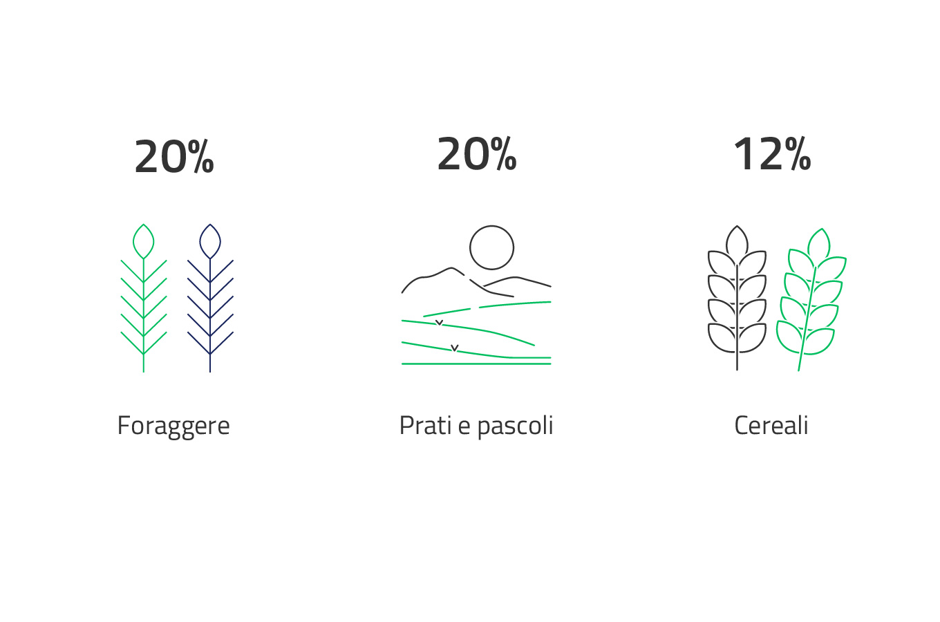 Le principali colture (per superficie) a biologico - 2024